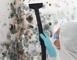 Olmos Park, TX Mold Remediation Company